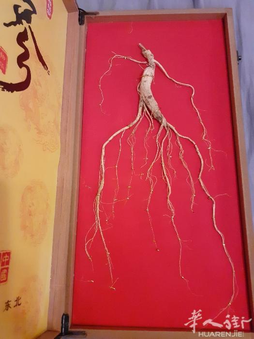 出售东北老山参。提高免疫力，抗病毒，抗疲劳，泡酒，送礼佳品