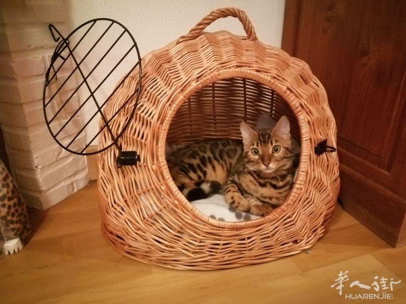猫窝/狗窝/猫笼/狗笼/宠物周边