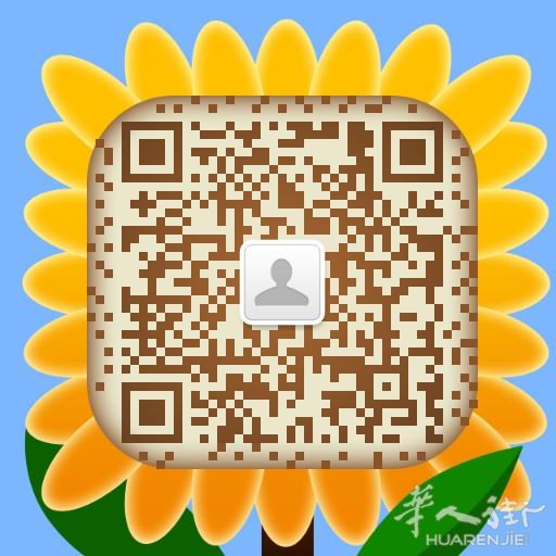 在申请被拒绝后寻求专业帮助？
