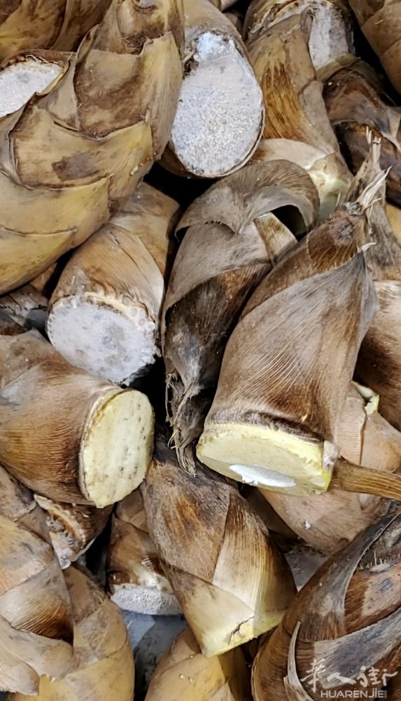 新鲜冬笋17.5€/kg，详情咨询微信dunfeng128
