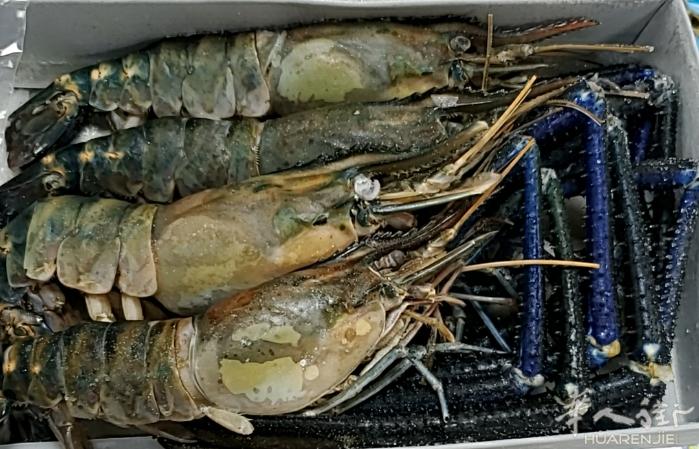 明虾1/2促销价23.5€/900g，厄瓜多尔白虾30/40促销价9.5€/90