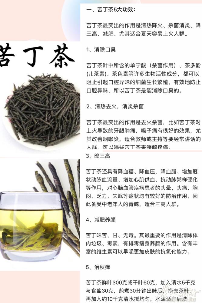 苦丁茶现货  3欧/袋（40克） 需要的➕微信hello427441