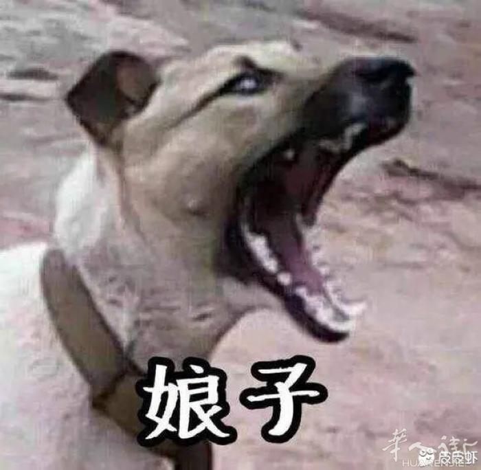 招聘兼職🍎蘋果，安桌手游代充員 （現有大量單子等着你來做喔！） ❌全程不需提供