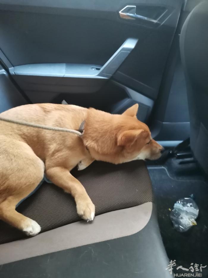 等待缘分到来
