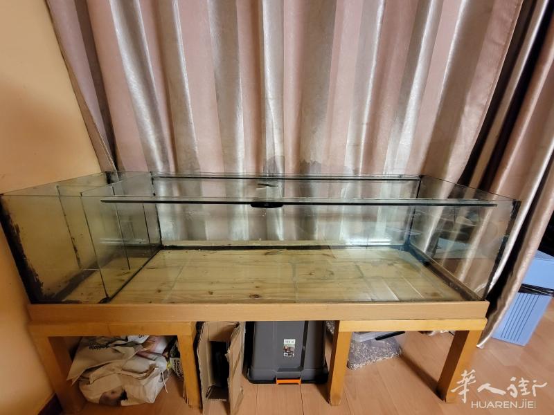 出售1个350L的大鱼缸