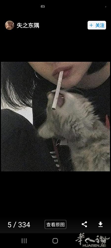 因为一个人开始期待无尽夏的花语