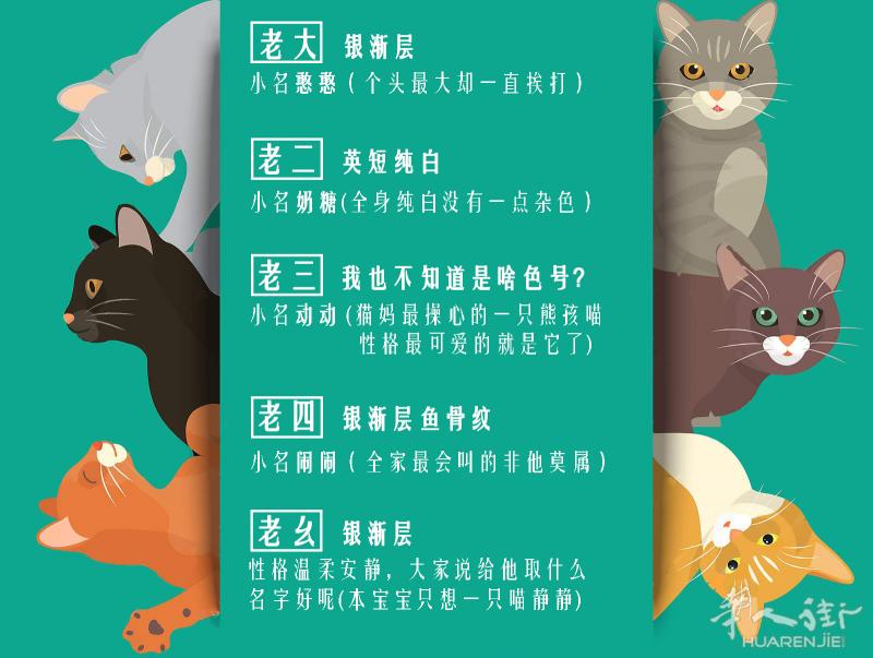 你家缺个毛孩子吗？