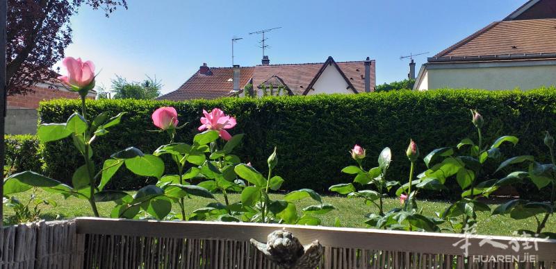 Appartement 2/3Pieces 57m² Villejuif