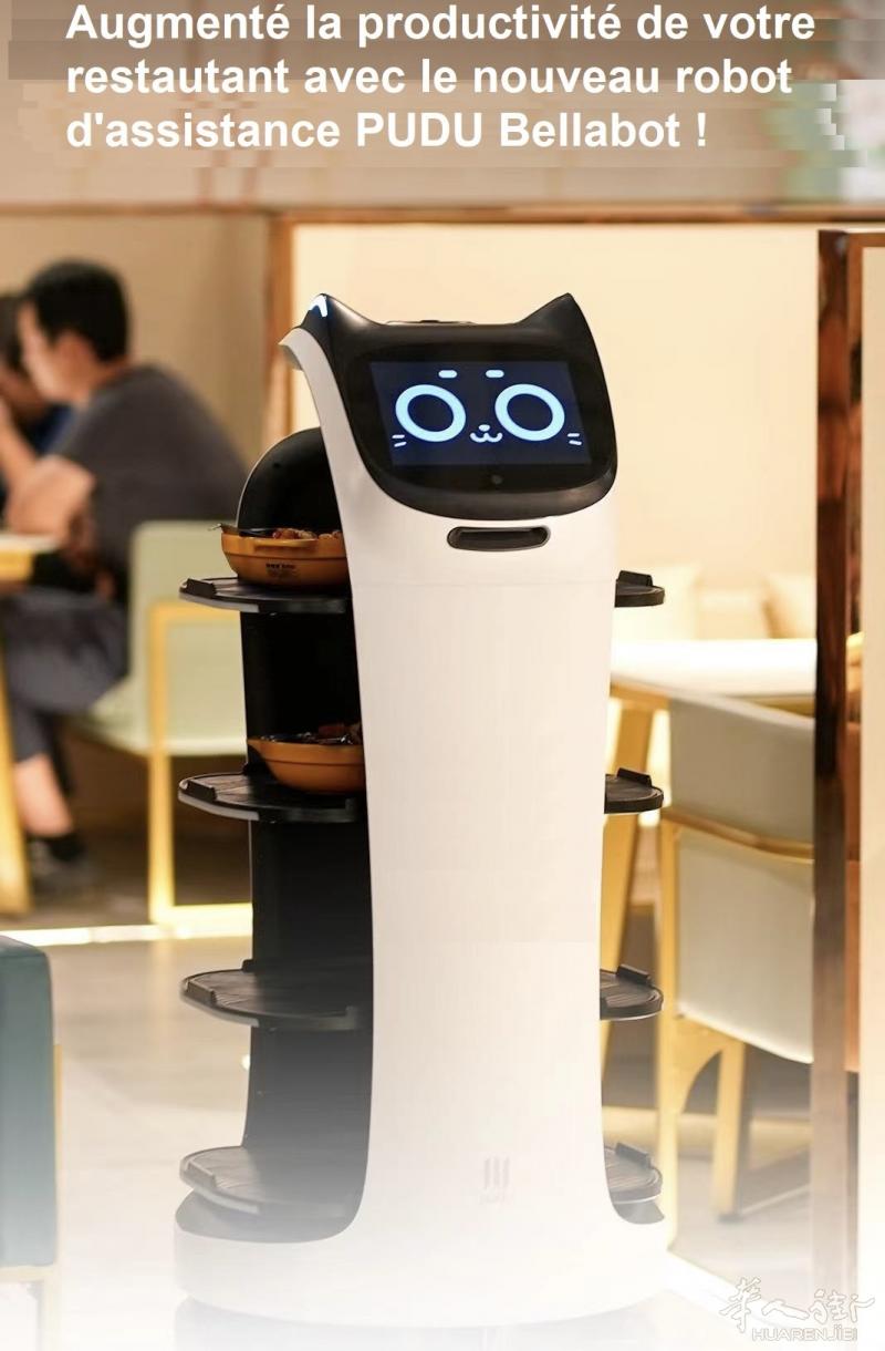 餐馆机器人安装销售法国WS-Tech人工智能