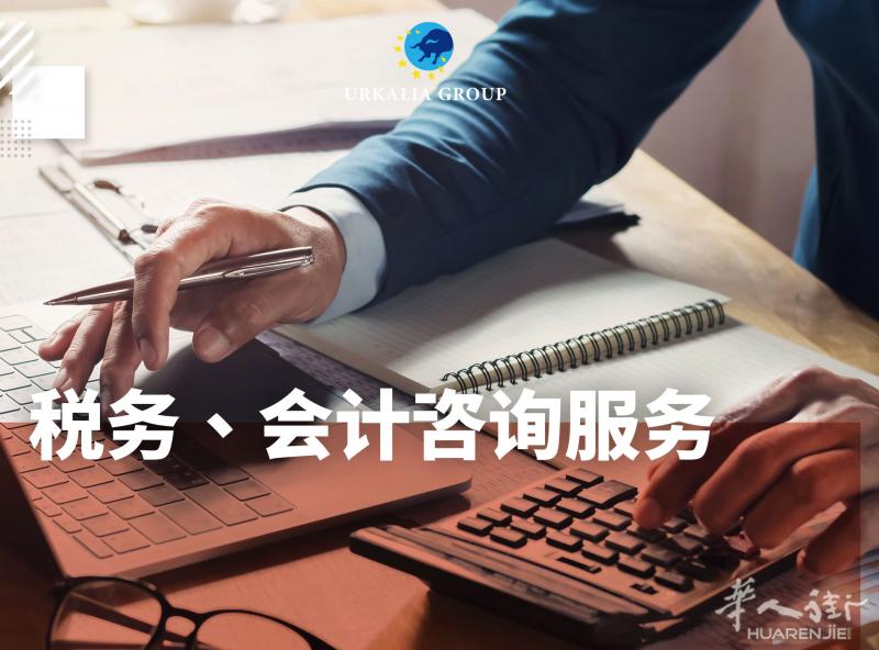 会计税务咨询服务