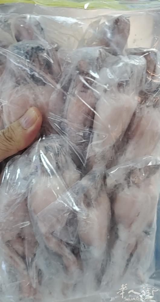 青蛙腿特价17.5€/kg，详询微信dunfeng128