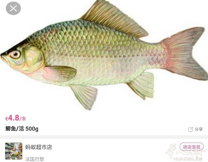 乌鸡，青蛙腿，活鲫鱼，活草鱼到货数量有限预购从速，新鲜乌鸡19.5€/kg，约6