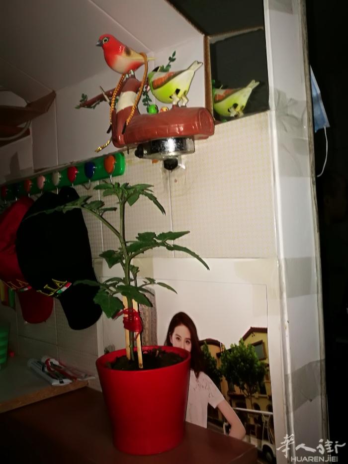 圣诞聚会邀请函
诚邀意联衣架公司各工厂打包同行参加圣诞聚会！望各位相互转告，谢谢