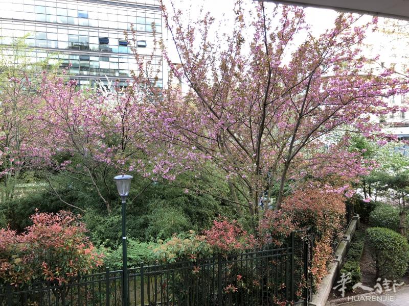 92租房 距离issy val de seine站一分钟 价格可谈