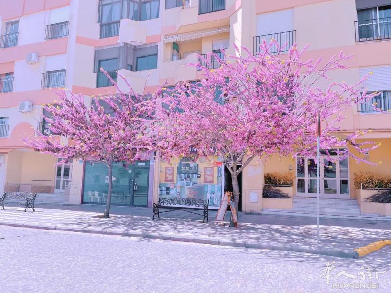 南部CADIZ 郊区 糖果店转让