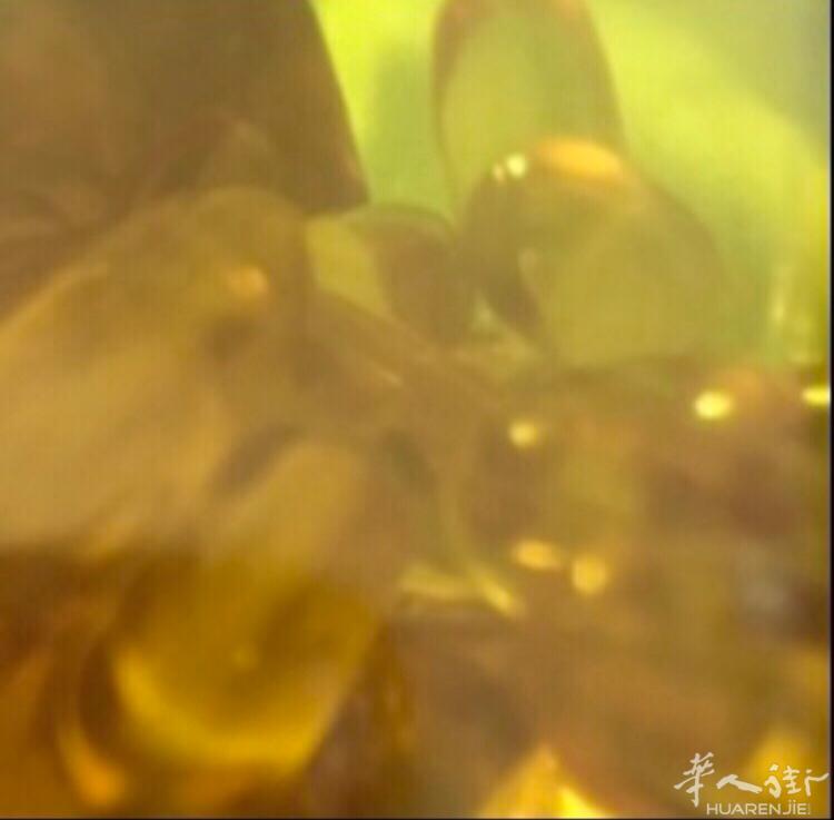 鱼肝油OMEGA-3小巴黎送货上门 300粒瓶装20欧（5瓶起送货）