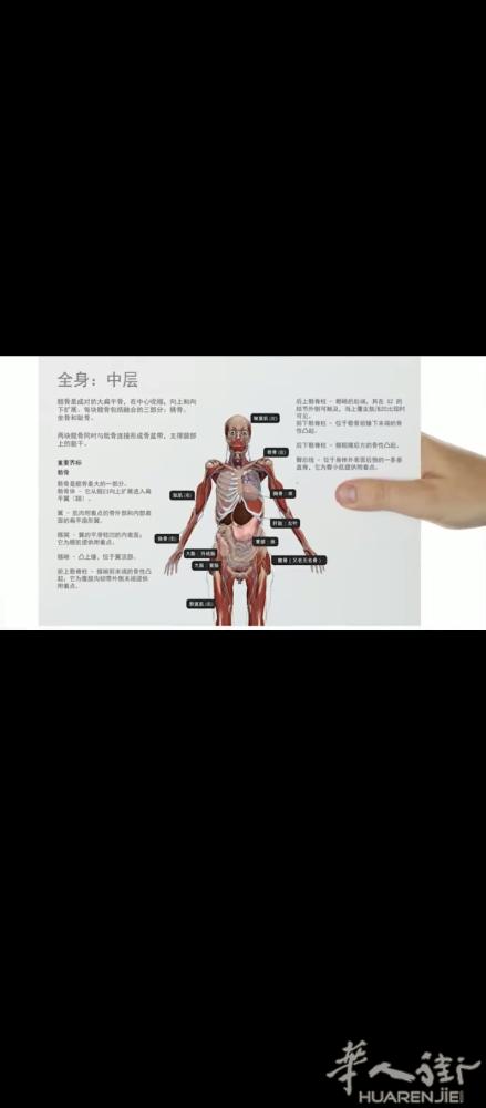 医科专业陪同翻译