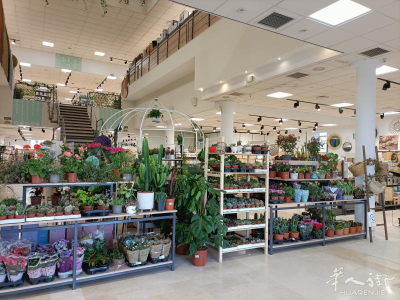 急转：Toledo地区大型百元店转让