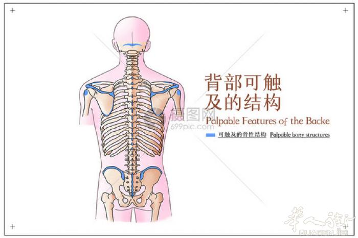 专业按摩师 老板人很热情 和蔼 友善 按摩特别舒服  有需要按摩服务 可以致电