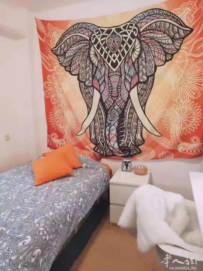 🏡马德里富人区精致空调女生单间出租 租金300欧水电网络清洁全包 4路地铁Pr