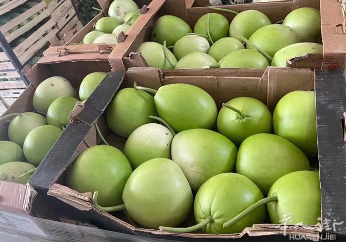 米兰海滨蔬菜到店消费120欧赠送价值18欧蒲瓜一箱！