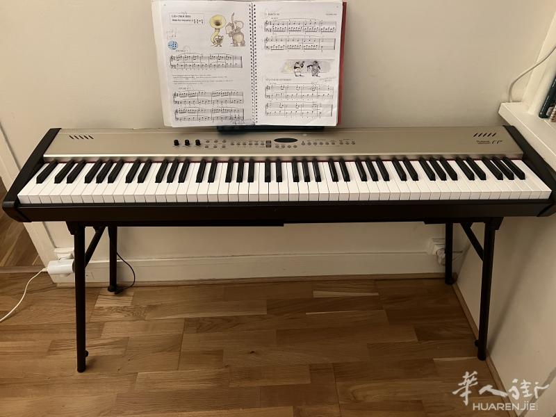 Roland FP5 电钢琴,标准88键,250欧7区自取