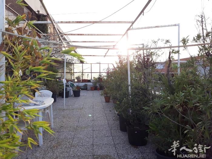 🏡马德里大学城黄金地段3/4/6号线Moncloa/ Argüelles 2单