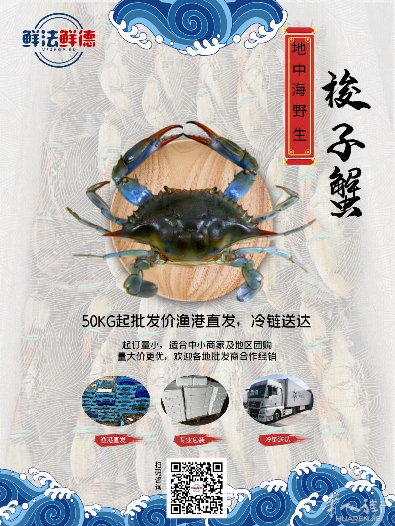 全法批发鲜活梭子蟹，50公斤起送全法国！全年不间断供应