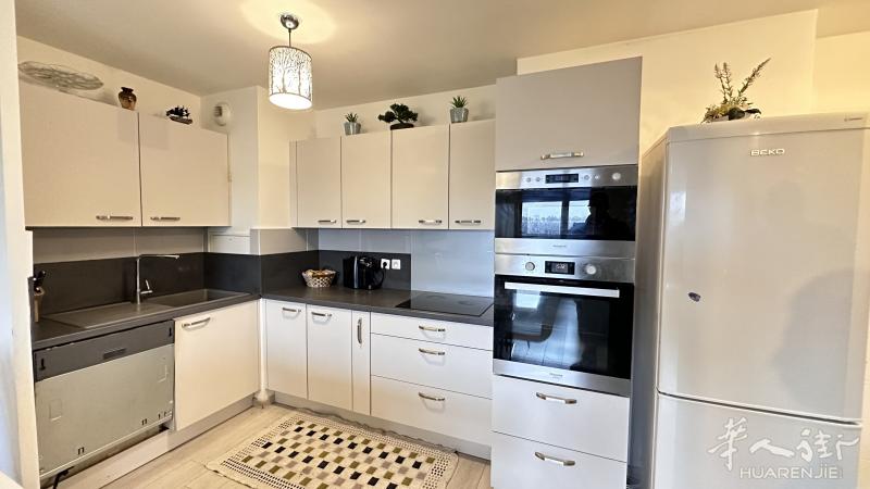 Villejuif appartement neuf 59m2 / 新的房子两房一厅59平