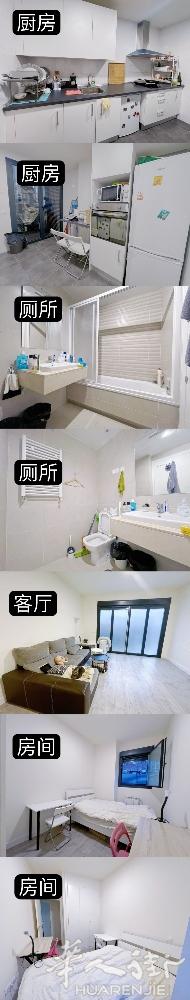 🏡马德里6CARPETANA 单间出租 直达康普大学城，公交车直达市中心。 新