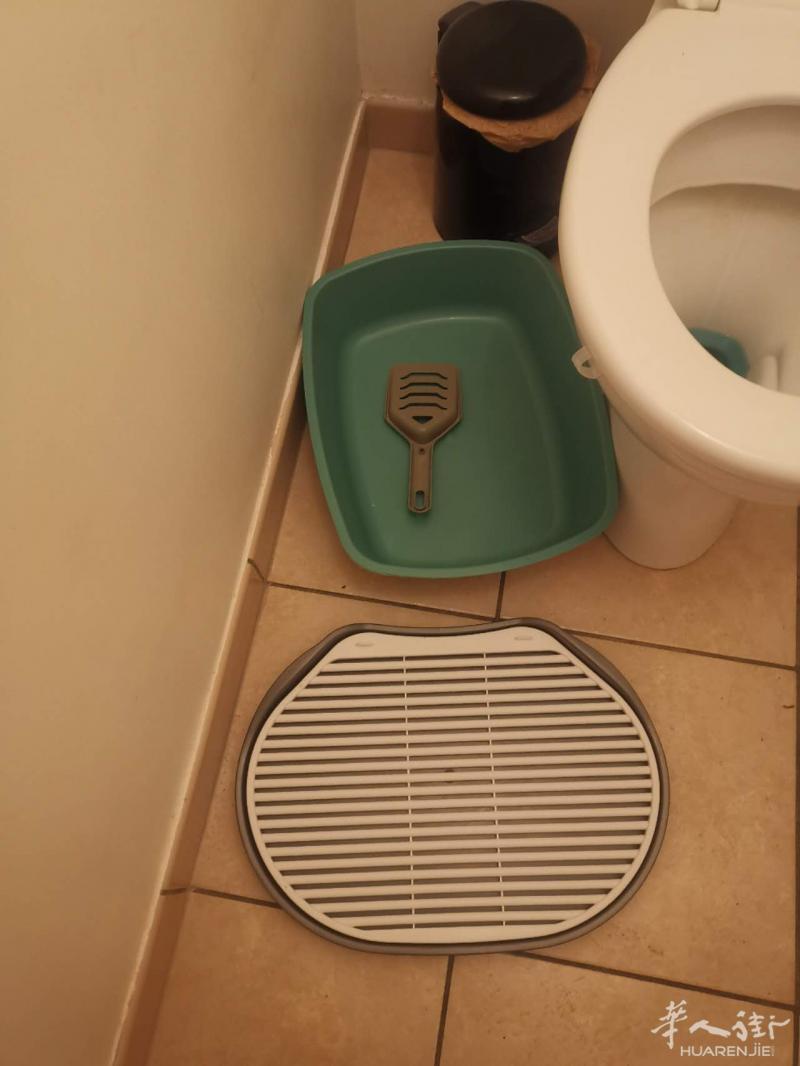 免费送猫砂盆哦