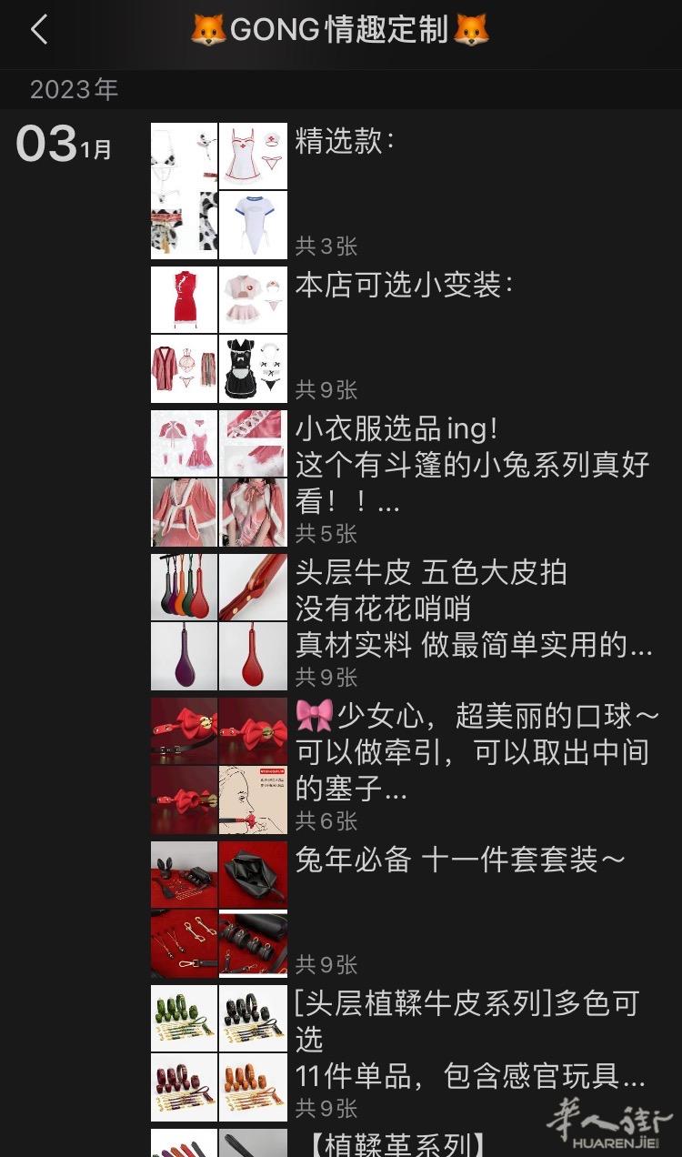 私人定制高端情趣用品店 主营SM定制皮具 情趣内衣 女性向 全欧盟可邮寄