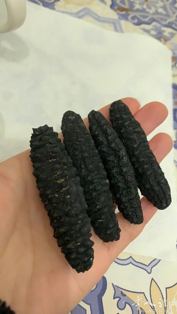 不会洗或者怕麻烦的亲看过来，去皮米参好洗，泡发强，口感好，纯野生，生长海域水深零