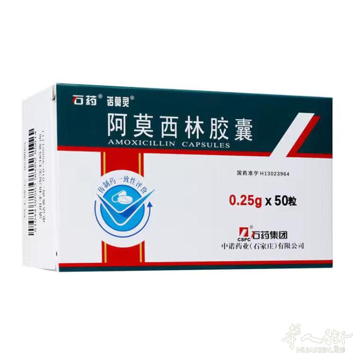 阿莫西林消炎药。一盒50粒 吃5至6天 新日期 保质期到2024年10月。10欧