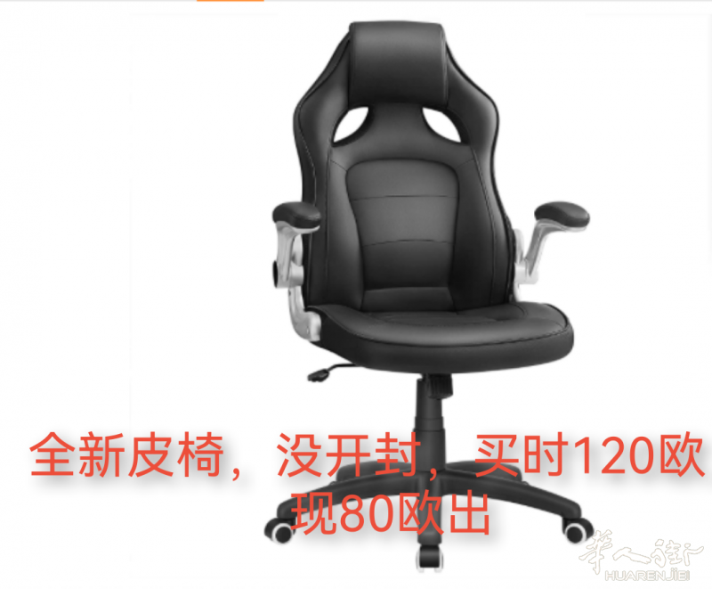全新皮椅,没开封,买时120欧,现80欧出