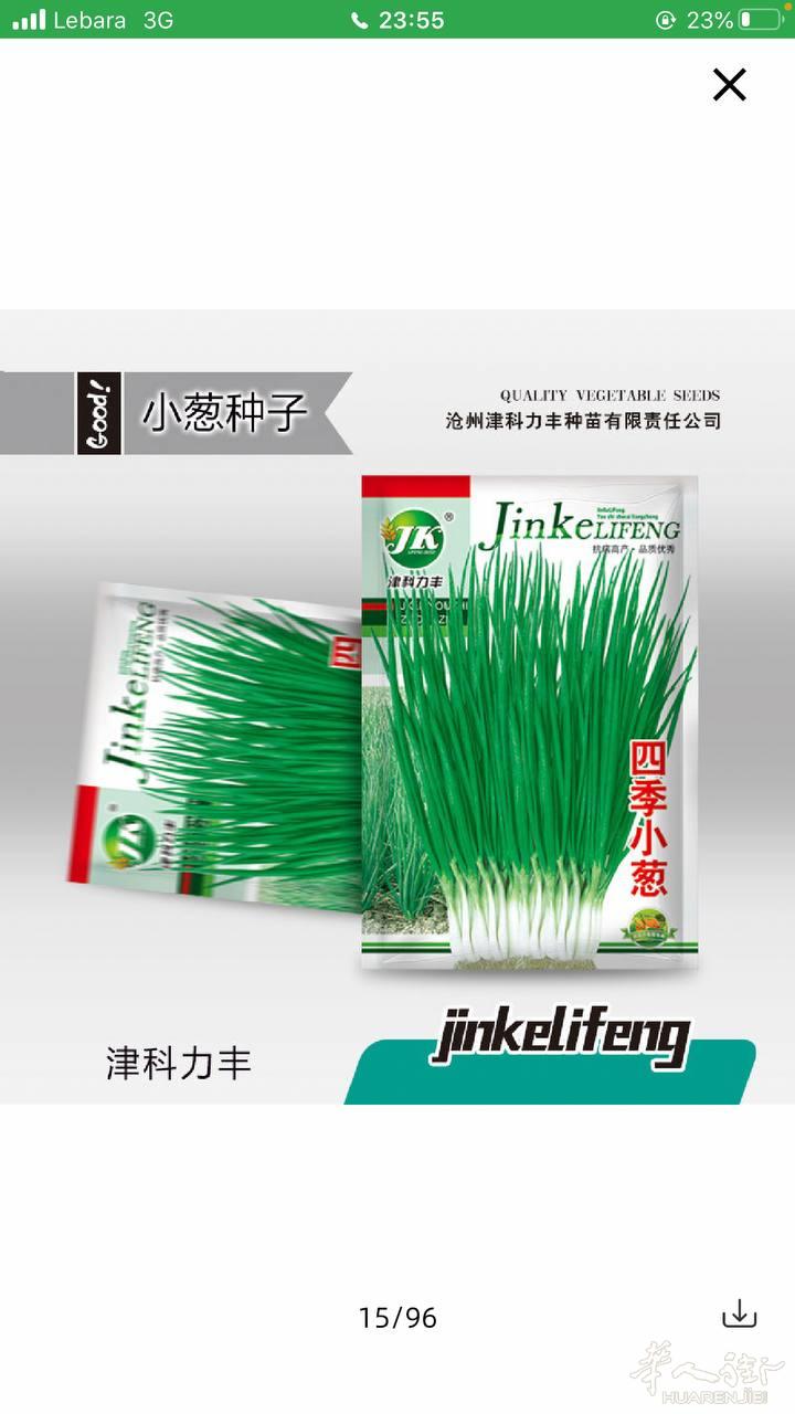 中国蔬菜种子批发