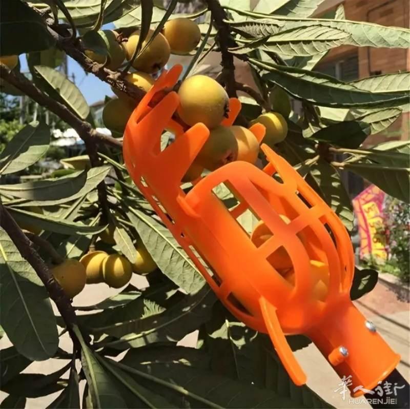 【全新】高空摘果器_8号线东