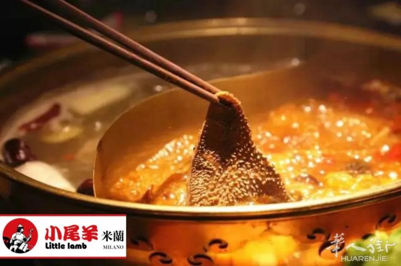 小尾羊夏季福利！全城送「火锅毛肚」一个月，轻松实现火锅自由！