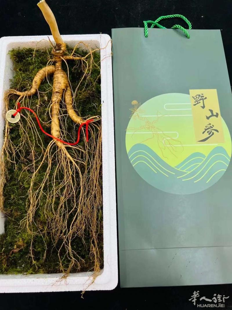 长白山人参鹿茸熊胆粉产地包邮直邮