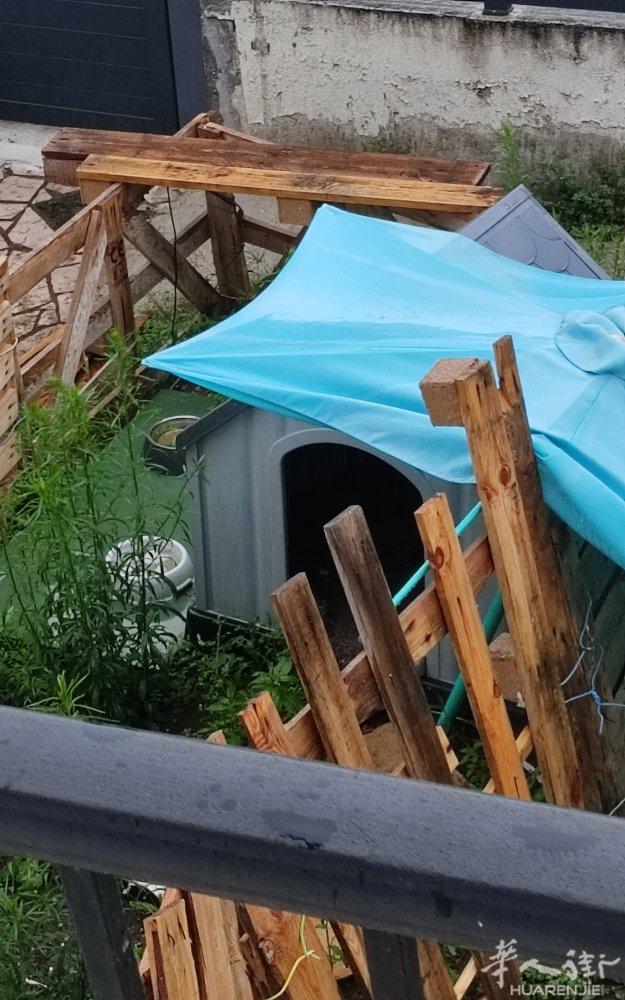 中大型闲置狗窝出售自取