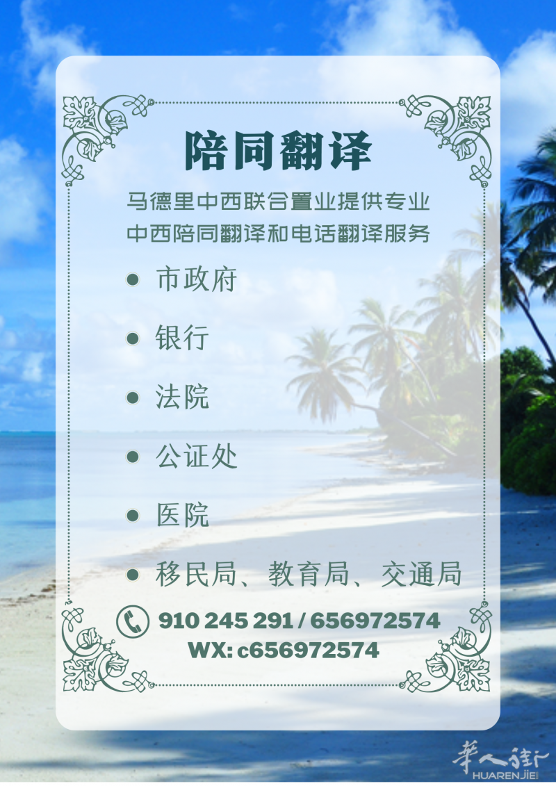 陪同翻译来啦！