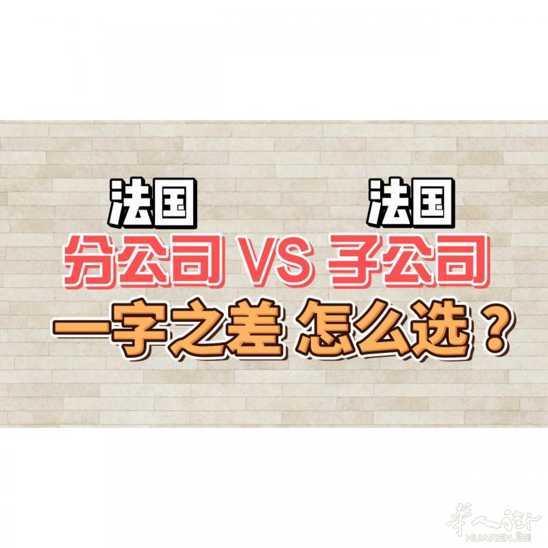 法国开公司 : 分公司 VS子公司