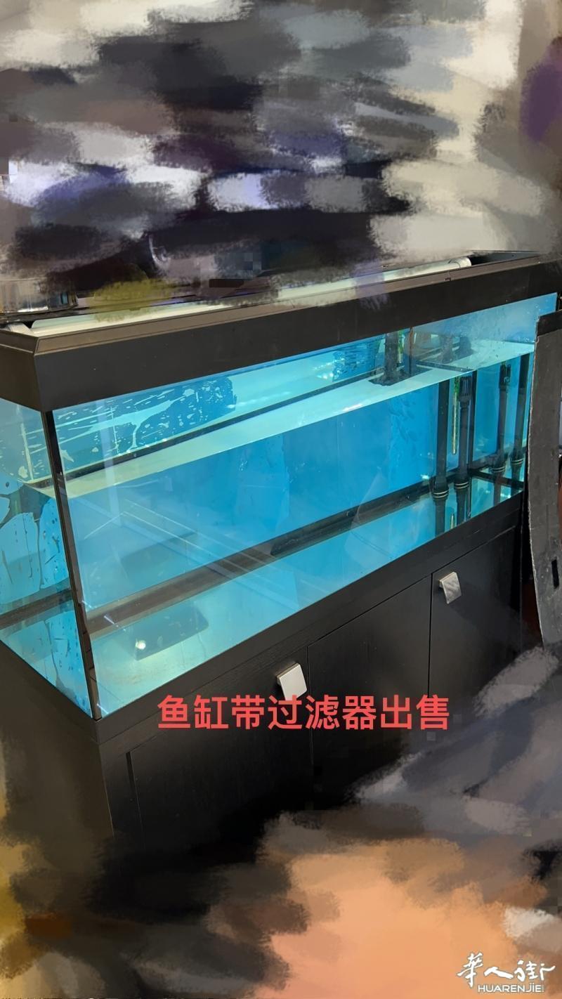 大鱼缸出让