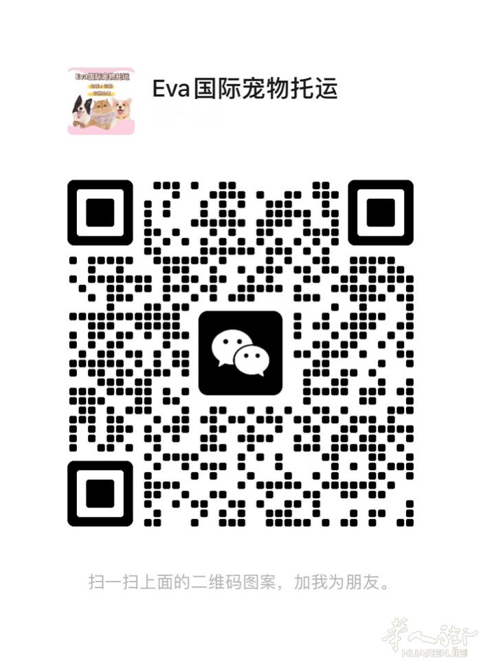 帮助华人宠物回国