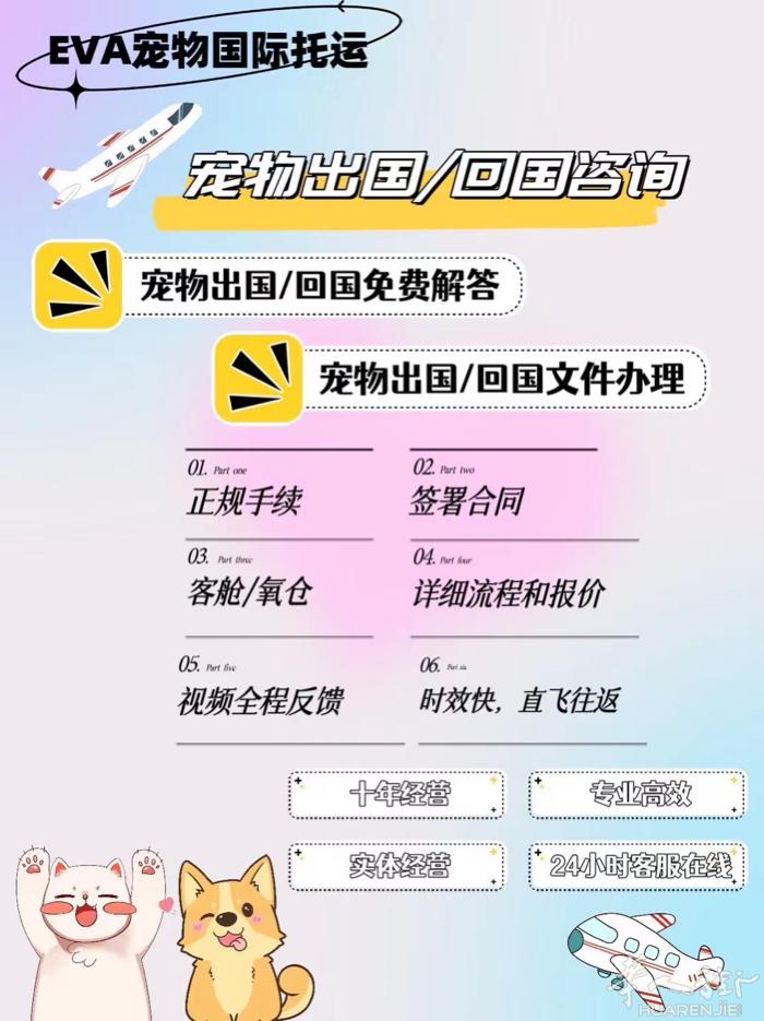 欧洲专线直飞～时效10小时回国。 国际宠物托运。有意者➕aa0240412