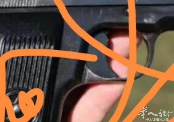 狗粮，