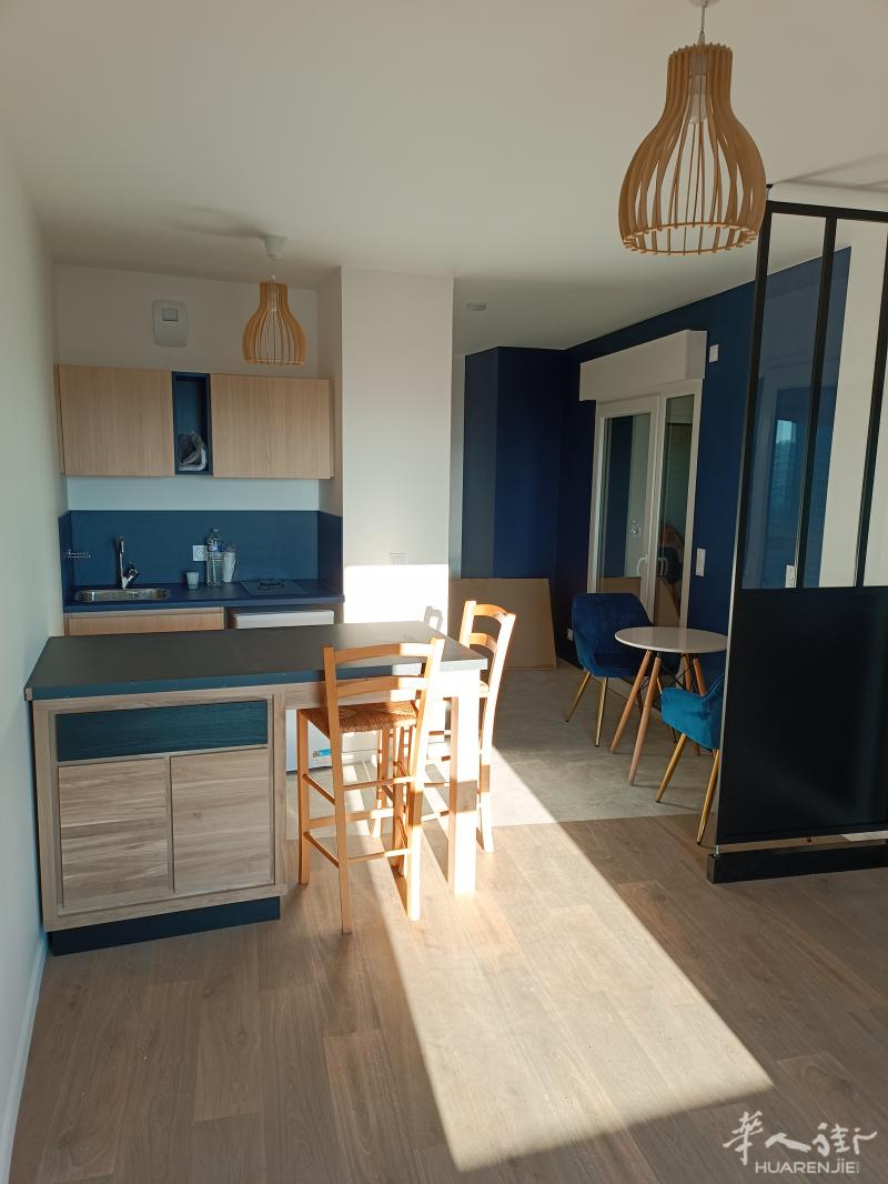 大巴黎 全新近B线 和C线 Massy Palaiseau 站. studio 25㎡+30㎡大露台，可住1-2人，，B线30分钟直