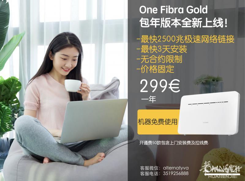 极速光纤2500兆包年价格299欧!