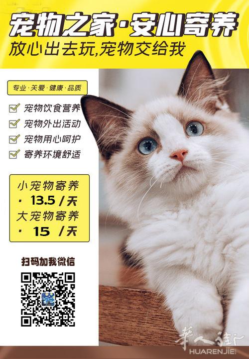 爱心委托寄养宠物服务