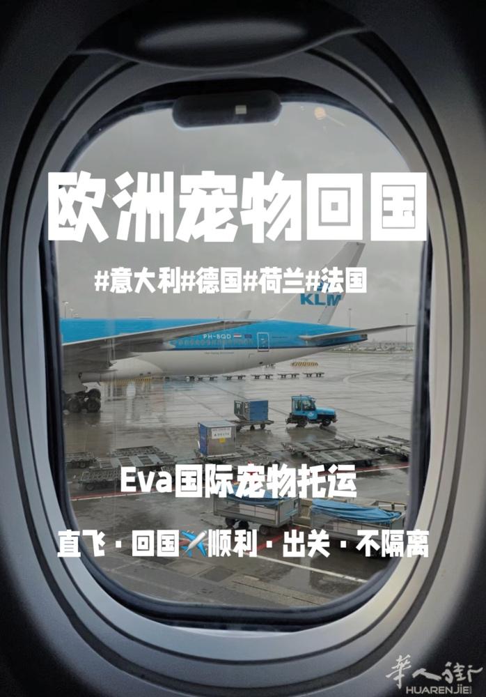 招聘招聘招聘啦 公司：Eva国际宠物托运 公司简介：我们是一家宠物国际托运公司，
